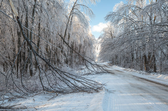 how to check generator during storm winter weather trees down power lines outage national standby repair