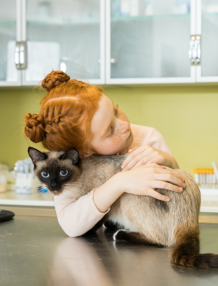 commercial veterinary hospitals wildlife centers pet boarding national standby repair girl cat light power
